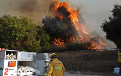 Buildings Are Shielded From The Hollywood Hills Brush Fire By Firefighters