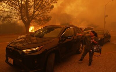 Los Angeles Wildfires Man’s Desperate Escape With Elderly Father-In-Law